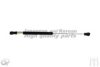 KIA 871703E010 Gas Spring, boot-/cargo area